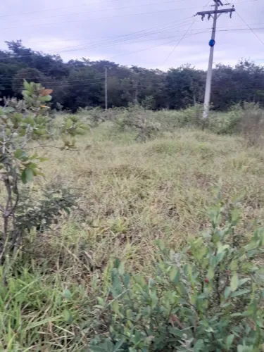 Sítio de 5 hequitares a 18 Km de moc sentido juramento
