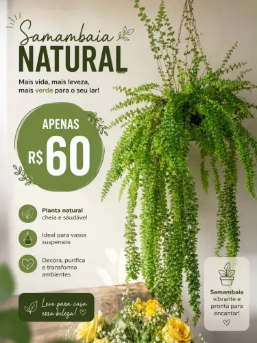 Vendo plantas samambaias e espada São Jorge