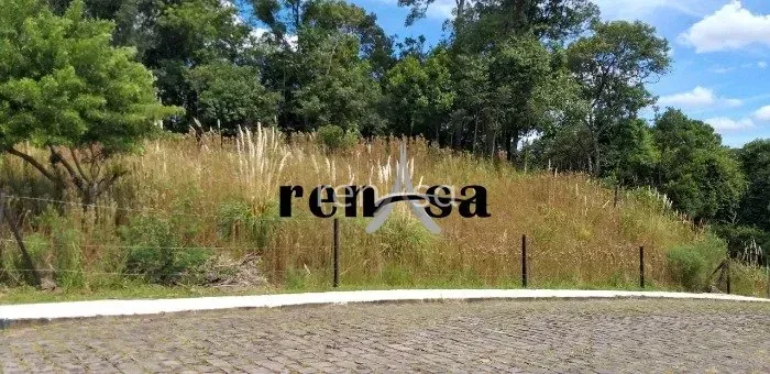 Terreno, Vila Horn, CAXIAS DO SUL