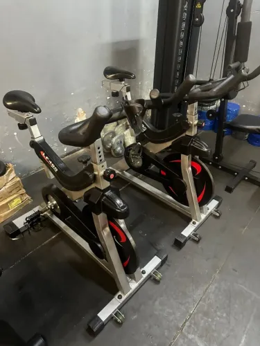 2 Bikes Lion Fitness Profissional LF 480