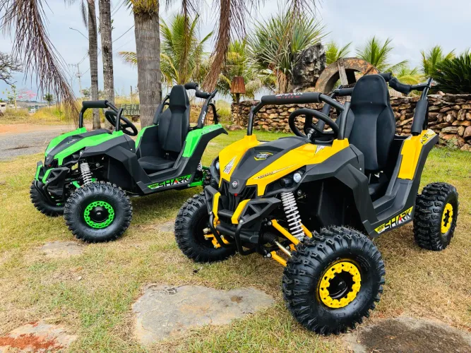 MXF SHARK 1.200 WHATS BUGGY UTV (CRIANÇAS DE 4 A 10 ANOS)