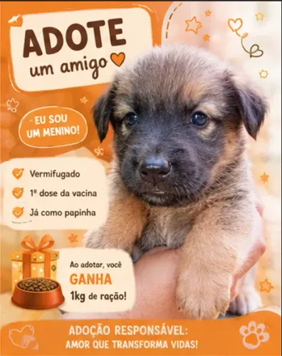? Filhotes para Adoção Responsável + 1kg de Ração | Vermifugados e Já Comem Papinha