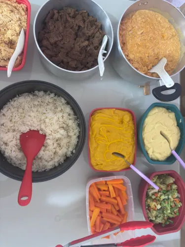 Marmitas Saudáveis Congeladas 