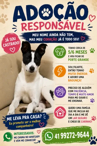 Para adoção