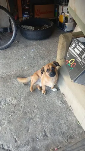 Doação motivo mudança