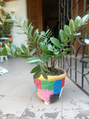 Planta zamiocuca ,no jarro de cimento, pintado a mão 