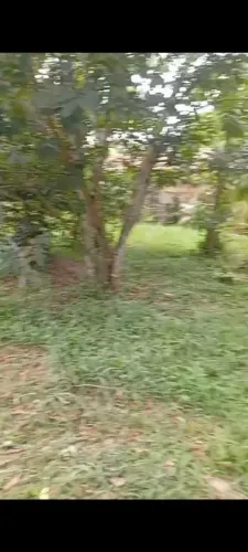 terreno a venda R$18.500, em caiçaua, Santa Bárbara