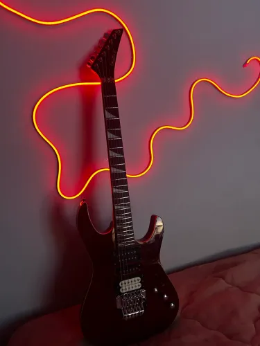 Guitarra Groovin ponte FloydRose