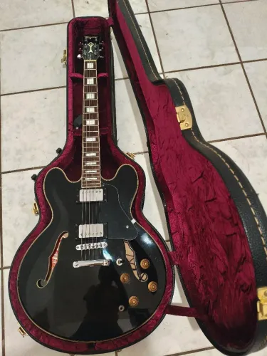 Guitarra TAGIMA BLUES 3000 + HARD CASE