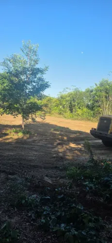 Negócio terreno 50x800 na estrada de novo airão km17