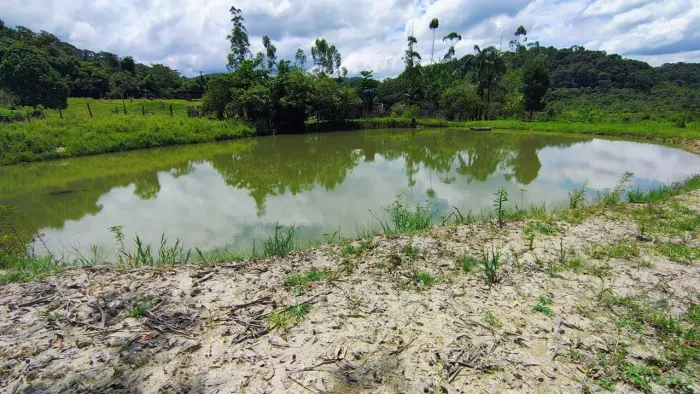 OPORTUNIDADE 5 Alqueires | Com Pasto, 2 Casas, Tanque de Peixe e 2 MIL PÉS de Pupunha Em E