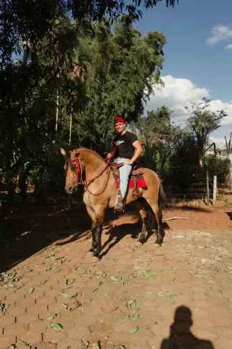 Cavalo mangalarga marchador