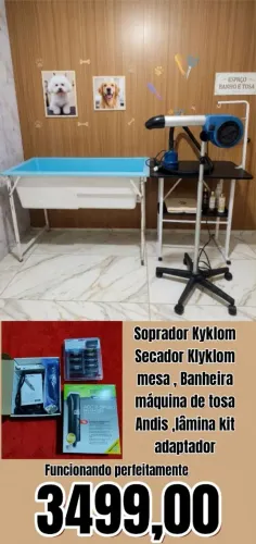 Oportunidade para abrir seu banho e tosa 