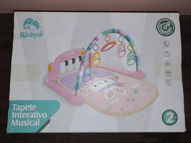 Tapete Interativo Musical Novo