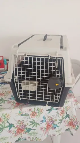 Caixa de Transporte de Animais de Pequeno e Médio Porte Rígida Ideal para Avião Seminova