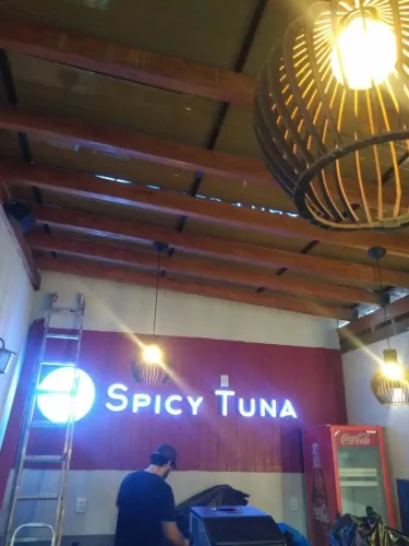 Serviços de marido de aluguel elétrica troca de roldanas de portão