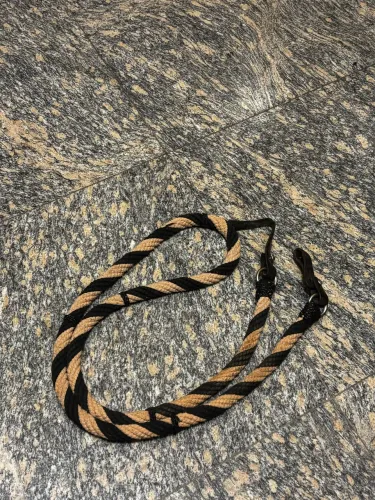 Cavalo 