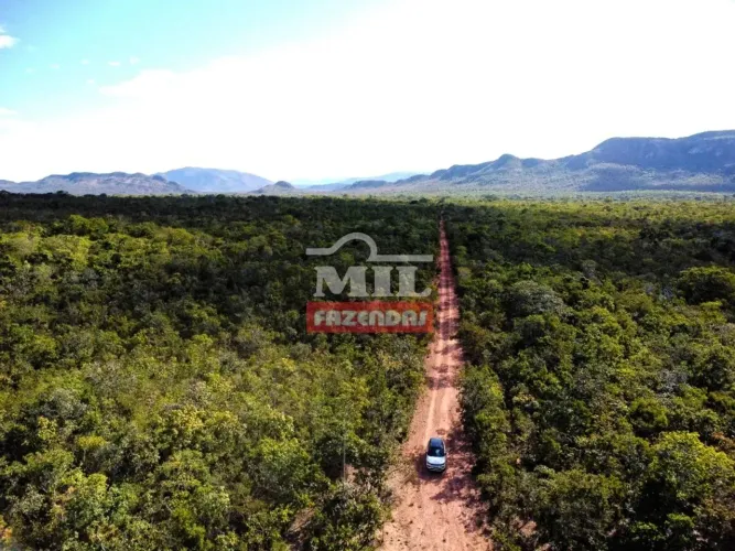 Fazenda 340 alqueires (1.646 hectares) Monte Alegre de Goiás - GO