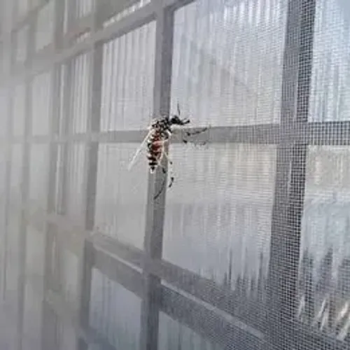 Anti-mosquitos Telas de proteção para janelas