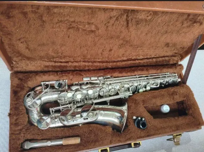 Sax alto prata weril 