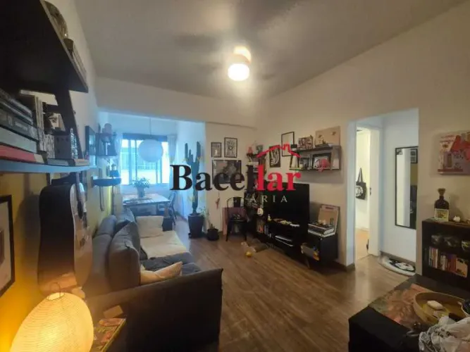 Apartamento : Padrão / Residencial / Botafogo