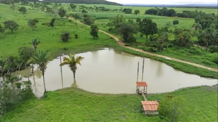 Vende-se 175 alqueiresColinas Goias-Go