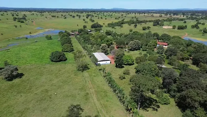 Fazenda em Goiás, em Araguapaz, 242 alqueire Goiano, R$:55. Milhões