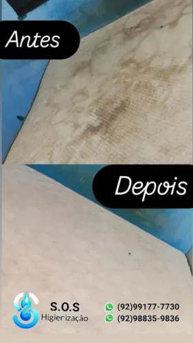 Higienização Profissional de Cama Segunda a Domingo