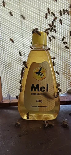 Mel de Verdade - Abelhas