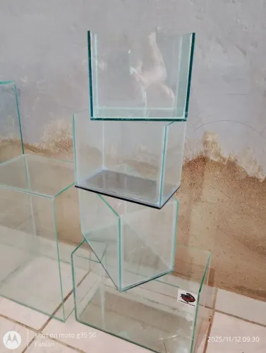 LOTE 7 AQUÁRIOS R$100