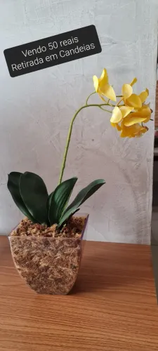 Vaso decorativo com orquídea 