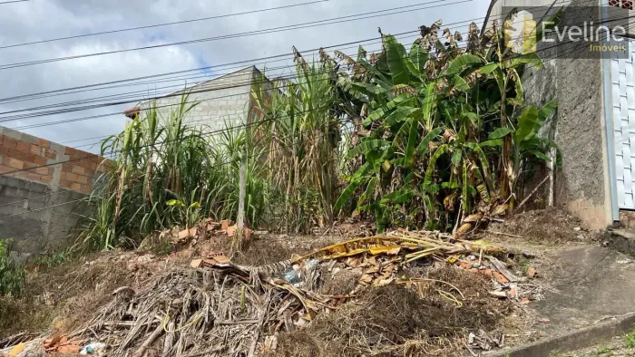 Terreno, Vila São Sebastião, Santa Branca - R$ 100 mil, Cod: 3892