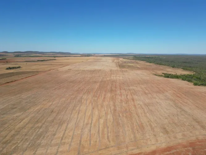 ?Arrendamento Fazenda 1.234 ha em Buritirana-TO - 400 ha Consolidados