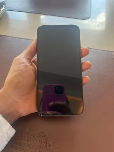 iPhone 12 PROMAX