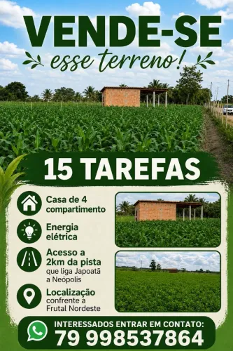 Vendo terreno de 6,53 há aceita troca