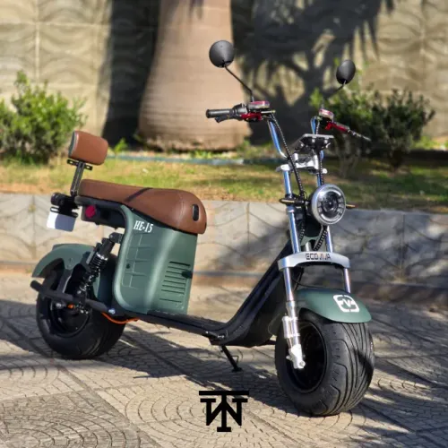 HE-15 1000W SCOOTER 