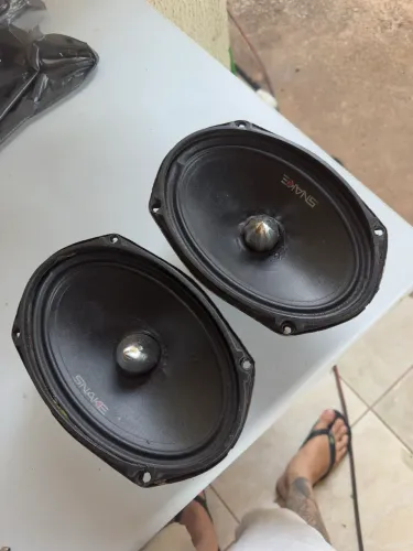 Trixial 6x9 snake 220 rms