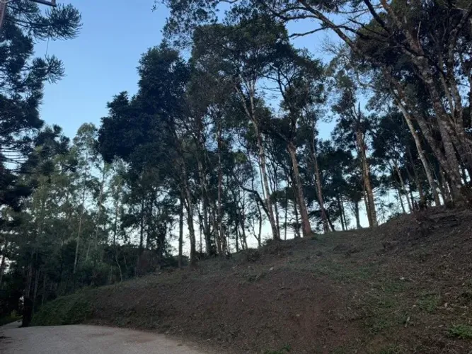 Terreno em Campina Grande do Sul medindo quase 2 mil metros