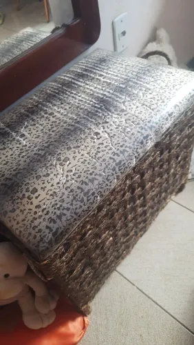 Lindo Baú decorado de onça !!