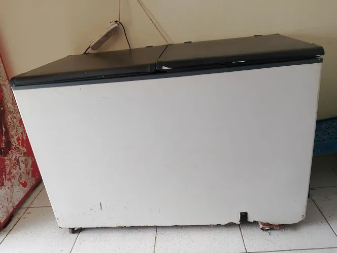 Vendo freezer vertical duas portas 1.250,00