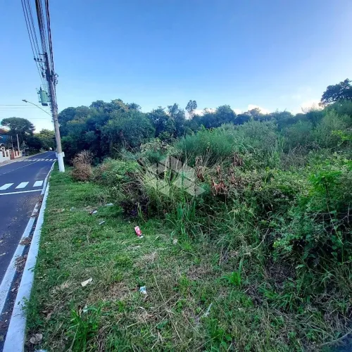 Terreno no Centro em Garibaldi