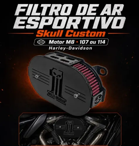 Filtro de AR ESPORTIVO - Skull Custom