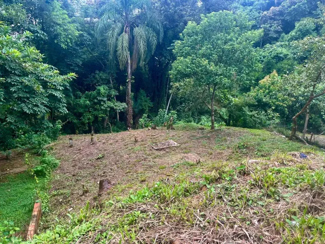 Terreno urbano com 624 m², localizado no tradicional Bairro Caixa D'Água, em Antonina/PR.