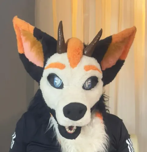 Fursuit partial (cabeça, patas e rabo)  de lobo/dragão