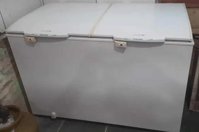 Freezer horizontal