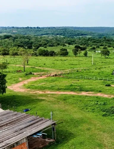FAZENDA COM 485 HECTARES A VENDA EM RIO NEGRO/MS