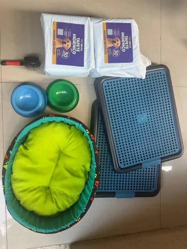 Kit com cama para pet