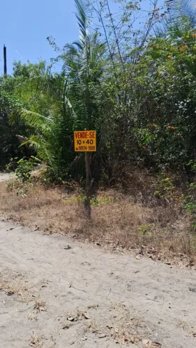 Lote a venda
