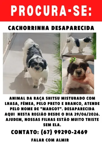 Pet Liaza...Margô