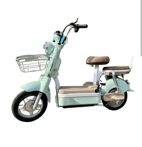 Scooter elétrica 